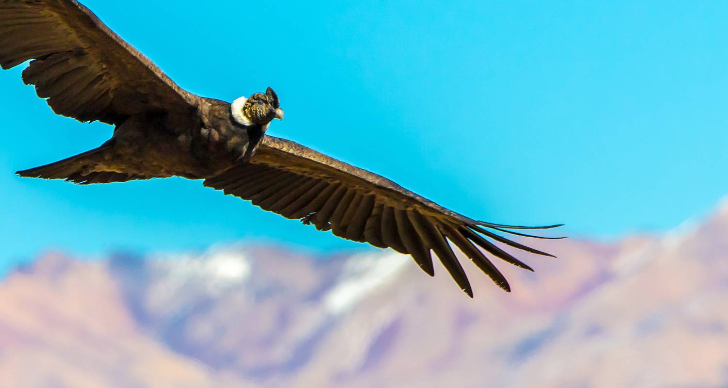 Epic Ecuador, Peru & Argentina - Intrepid Travel