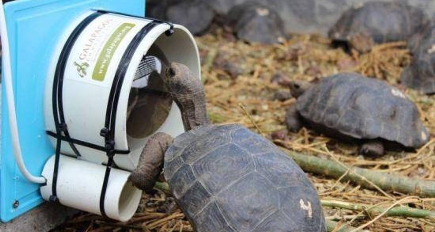 Galápagos Extreme 5D-4N! - BM Tours