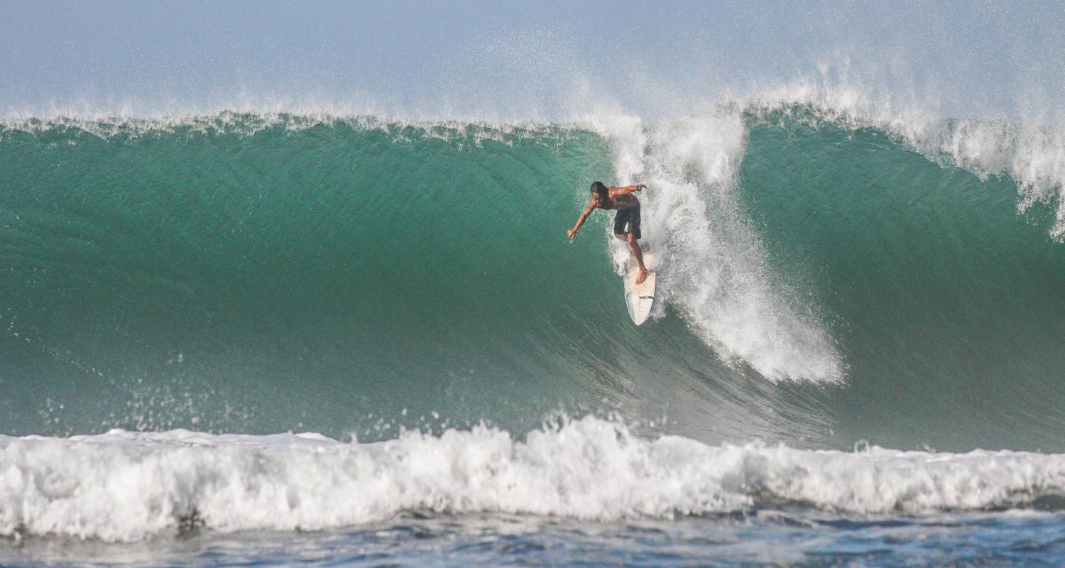 8 Days Maderas Surf Camps Lessons by Selina Surf Club - Selina