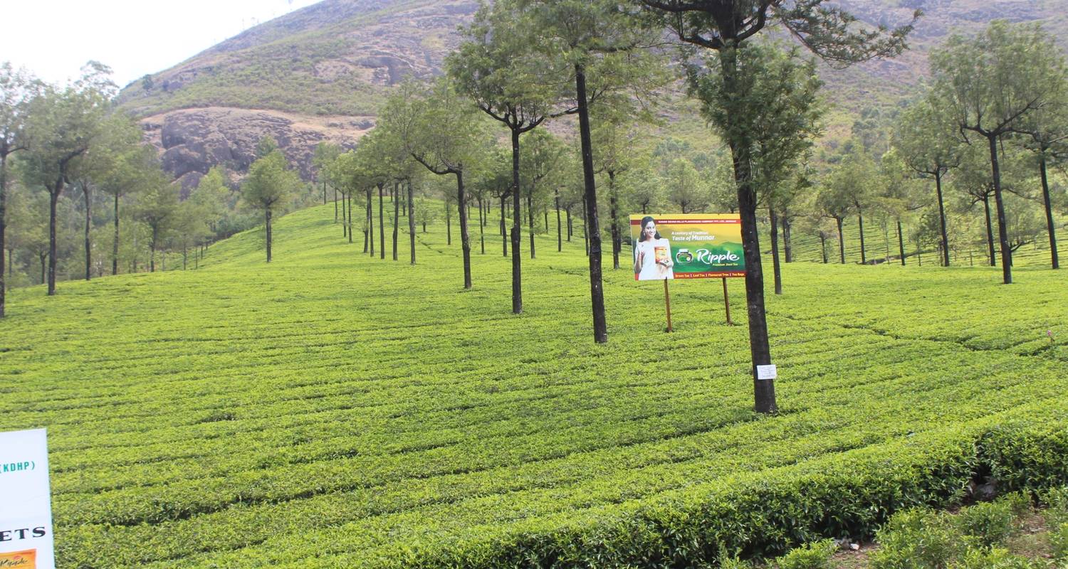 Best of North and South India - Yolo India Tours