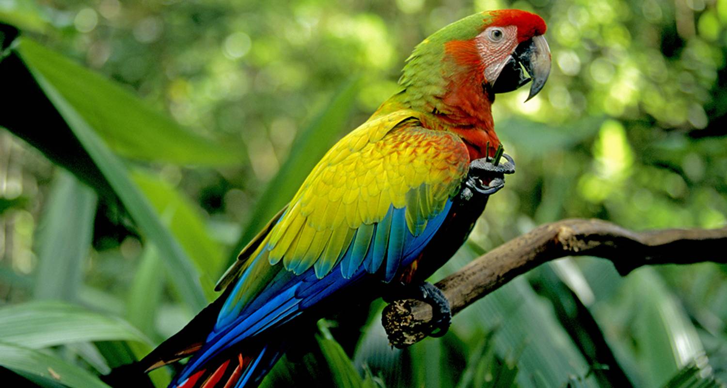 Costa Rica: A World of Nature - Collette