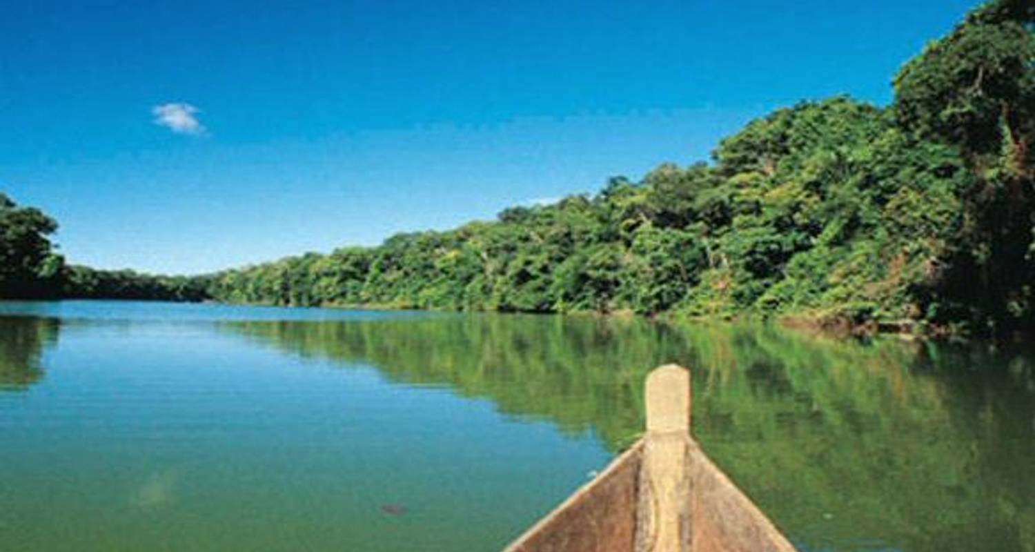 8-Day Iquitos Jungle Tour at Maniti Eco-Lodge - Maniti Expeditions