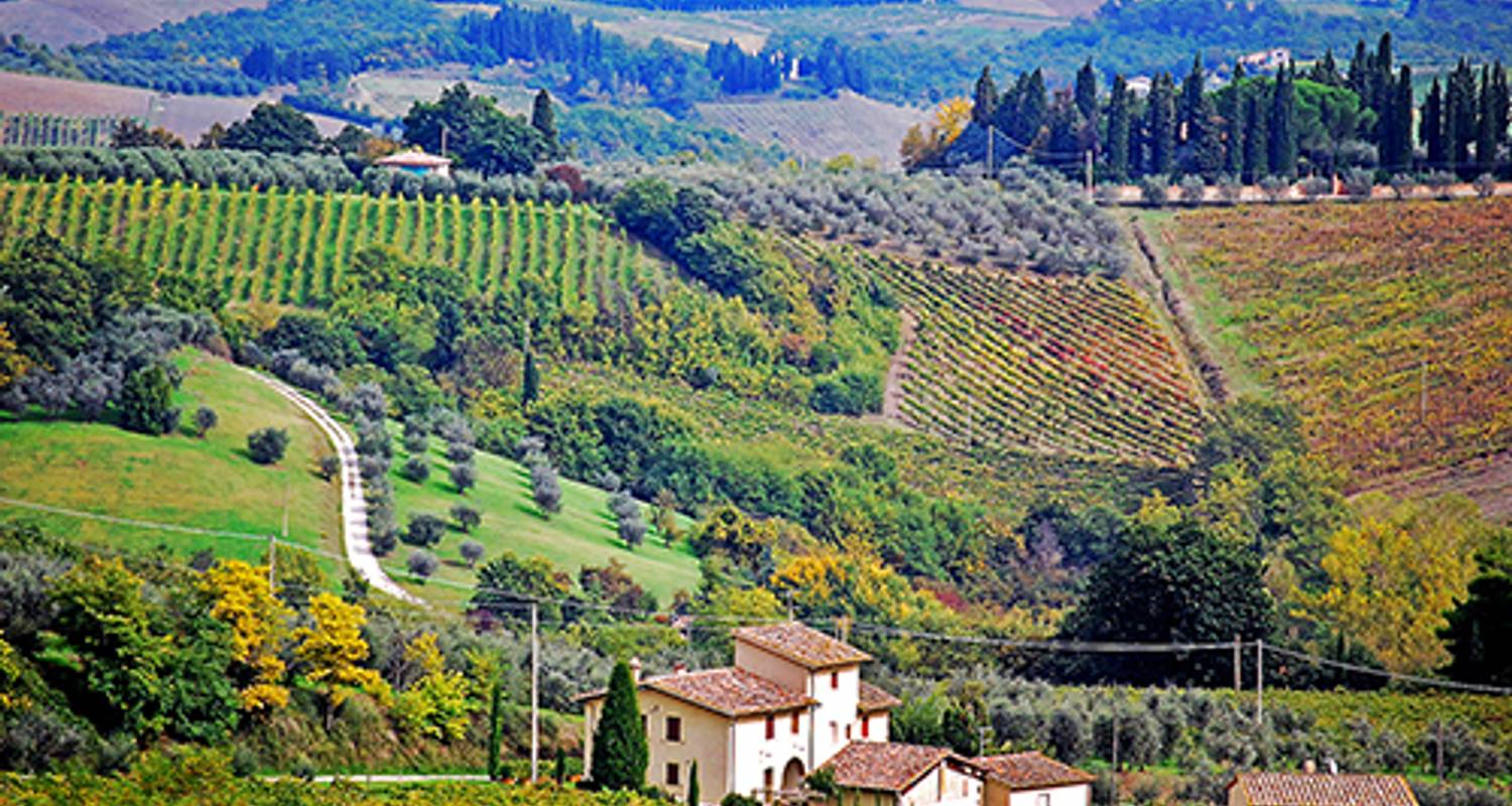 Tuscany & the Italian Riviera (Tuscany to Italian Riviera) (Standard) (from Florence to Portofino) - Collette