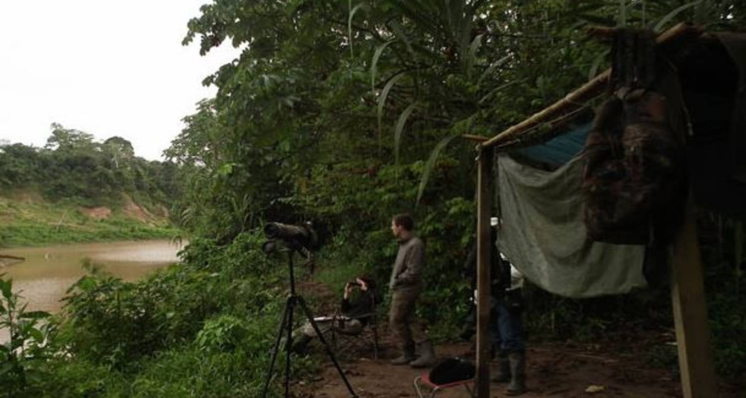 Pacaya Samiria Reservat - 9 Tage - Maniti Expeditions