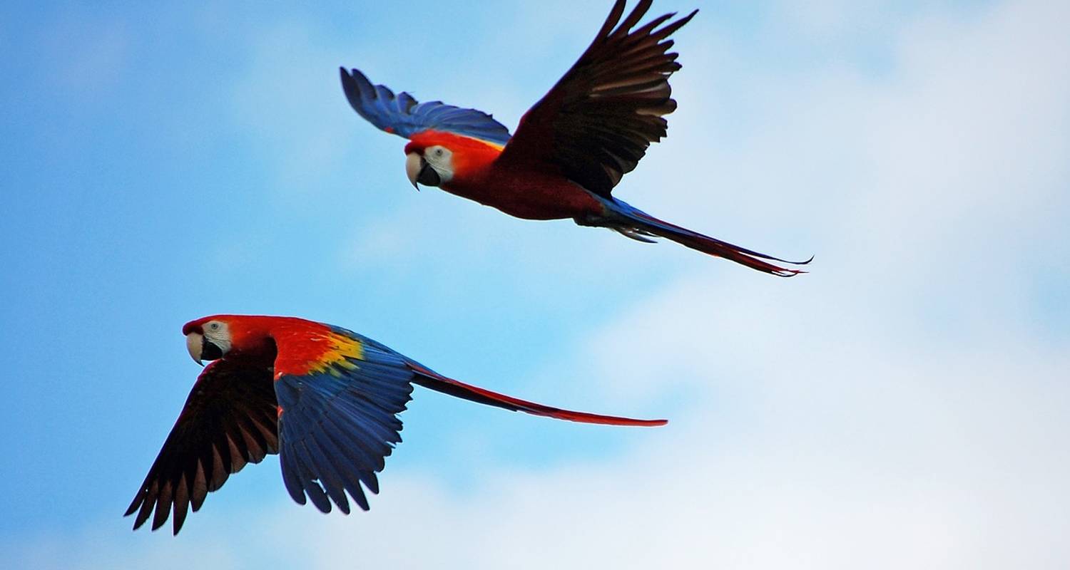 12-Day All Inclusive Pacaya Samiria Reserve Tour - Maniti Expeditions