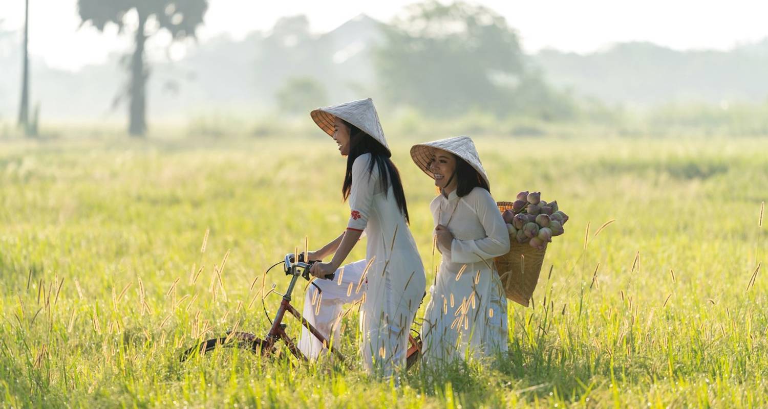 Espíritu de Vietnam (Grupos pequeños) - Luxury Gold