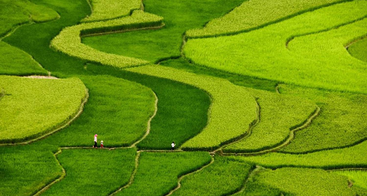 Trekking mu Cang chai tour 3 day - Zonitrip- Adventure Vietnam Tours