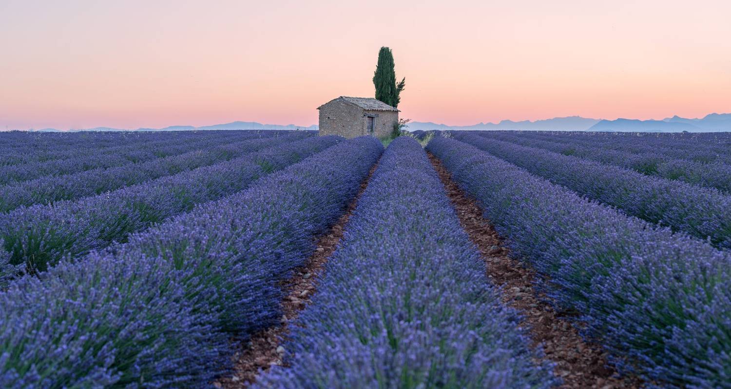 Burgundy & Provence for Wine Lovers - Cruise Only - Avalon Waterways