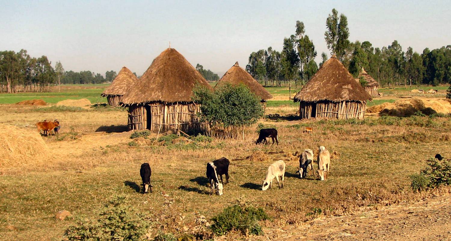 Classic Historic Route with Simien Mountains - Dinknesh Ethiopia Tour