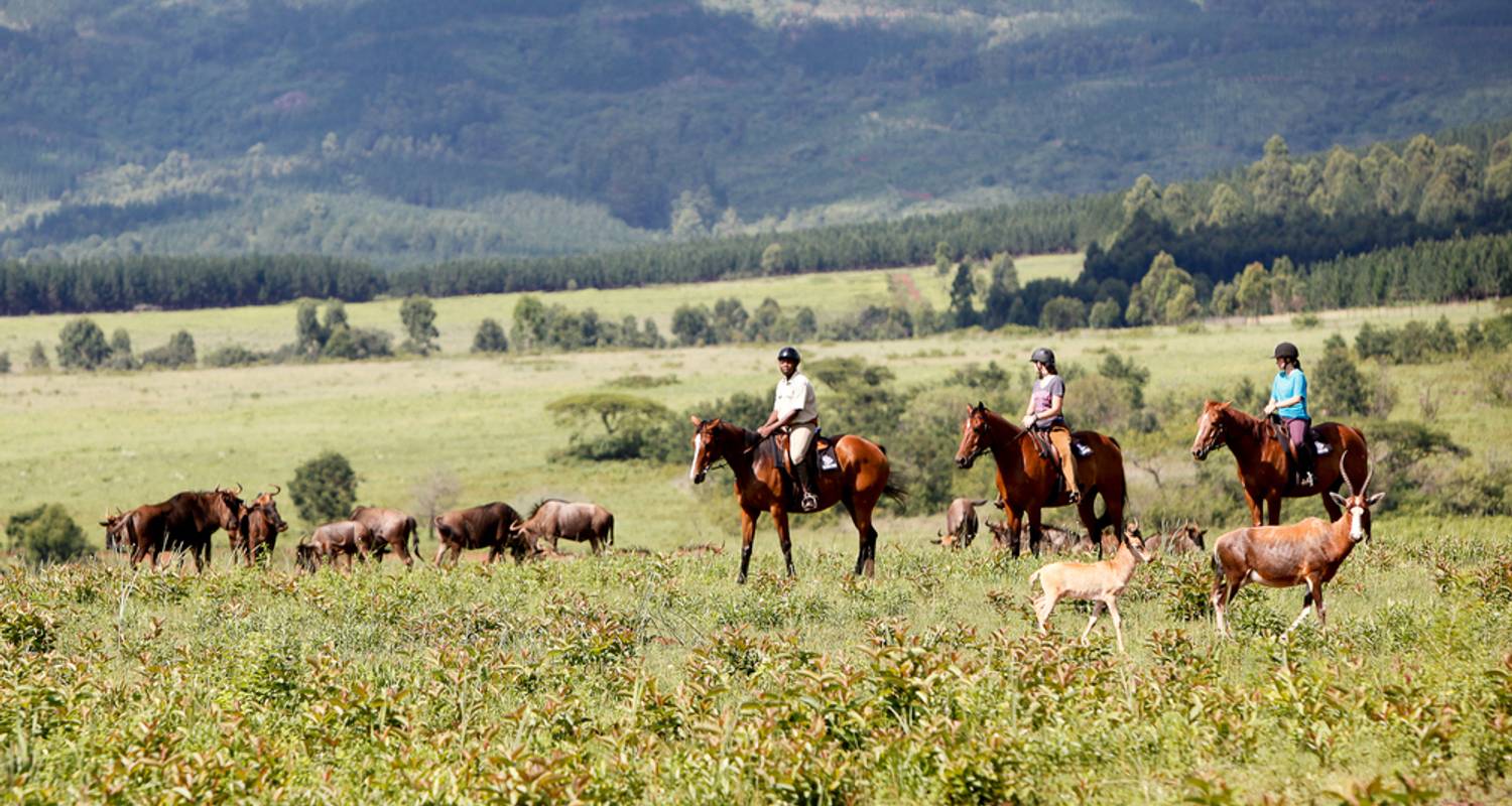 Swaziland Tour - Dlamini4africa