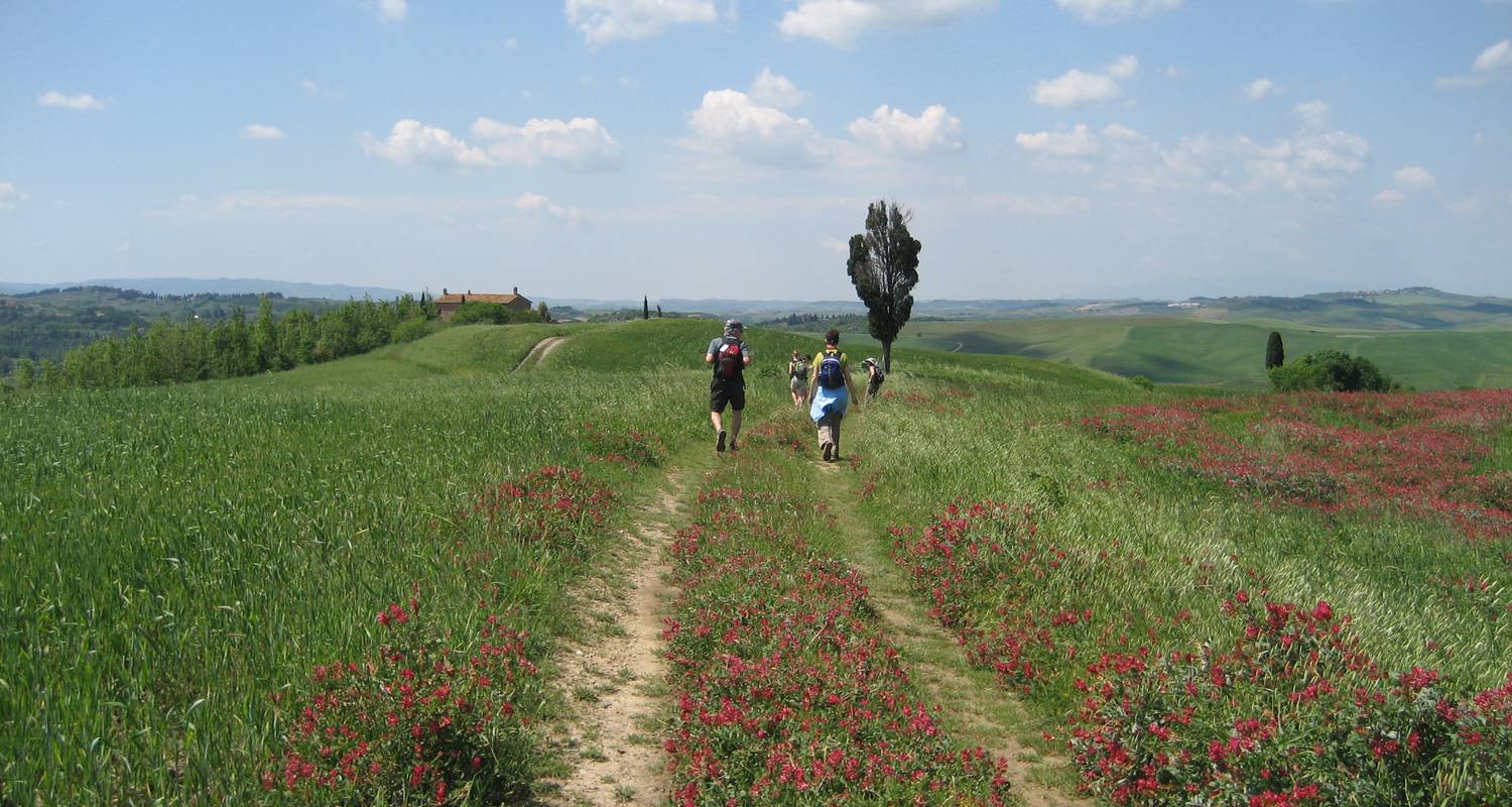 Tuscany Walk - Chianti, Siena & Volterra - Custom Walks