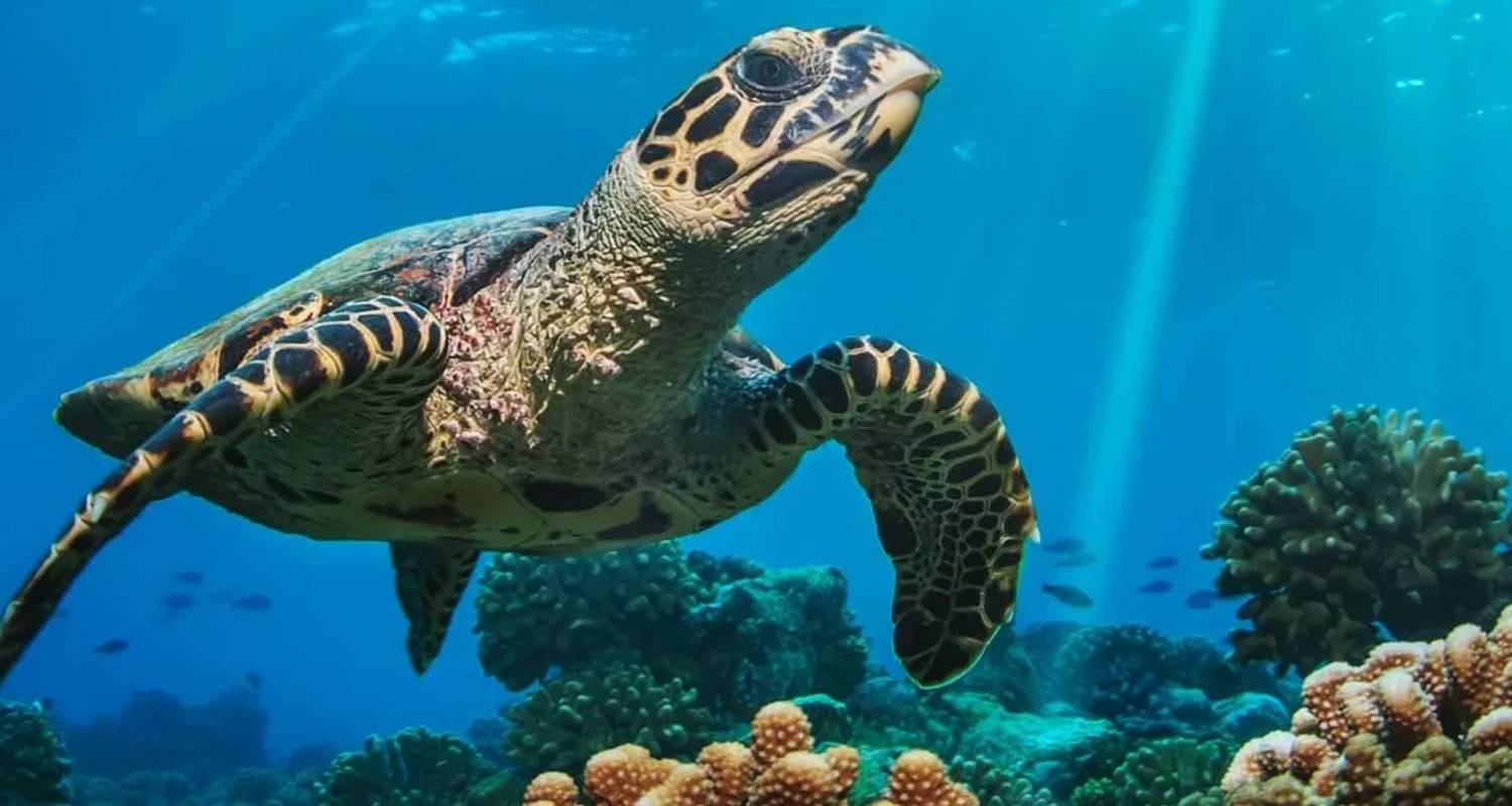 Belize : Circuits nature & vie sauvage 2026/2027