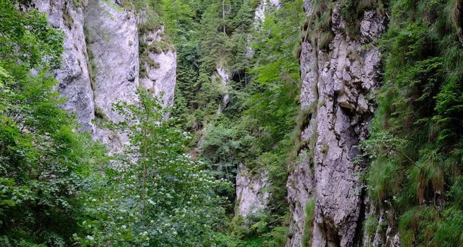Wandelen & trekking Rondreizen in Roemenië