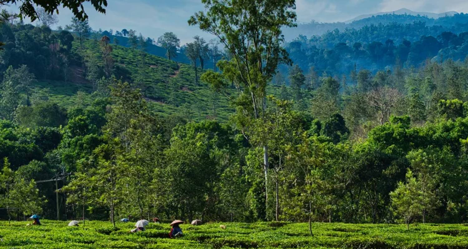 Maravillas Antiguas circuitos en Sur de la India