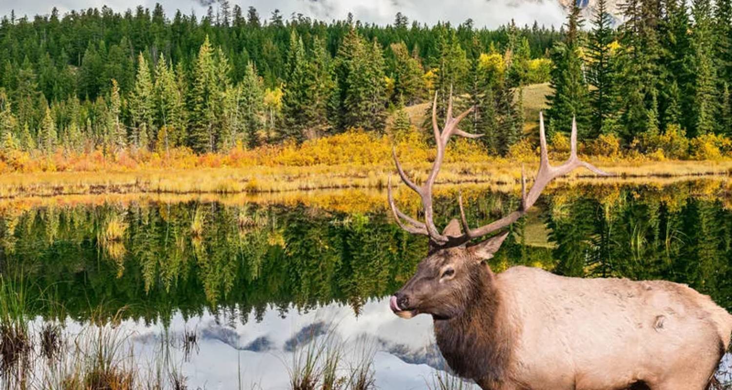 Costa Oeste de Canadá Circuitos 2 Semanas