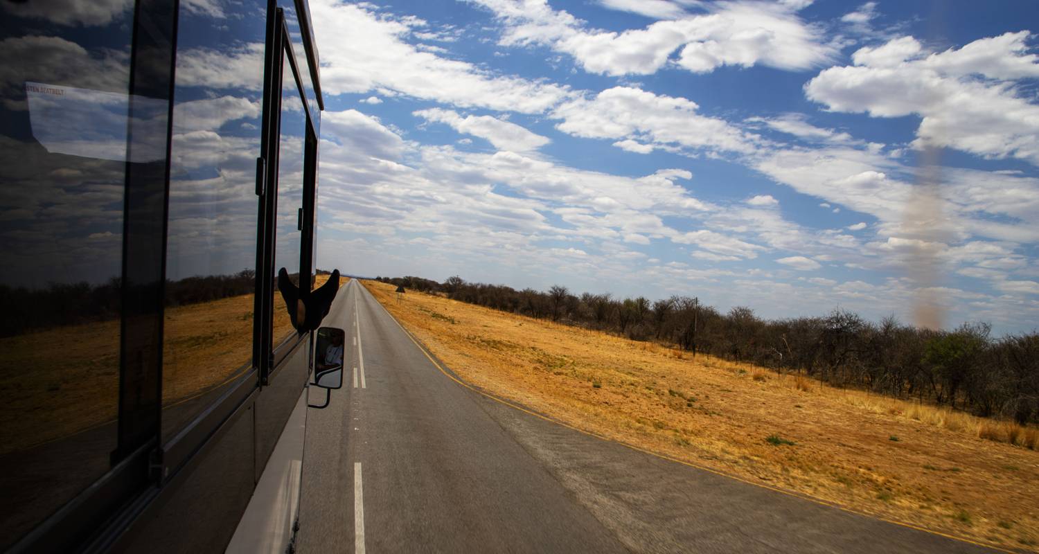 7 Day Pride of Namibia Camping Tour - Wild Dog Safaris
