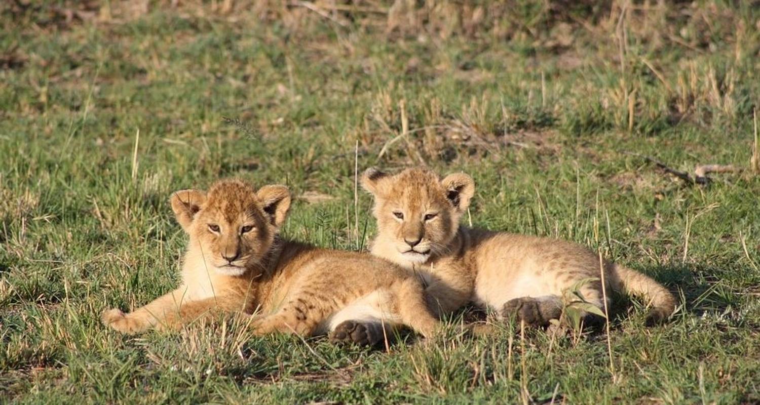 Kenya Trails Group Safari - Global Basecamps