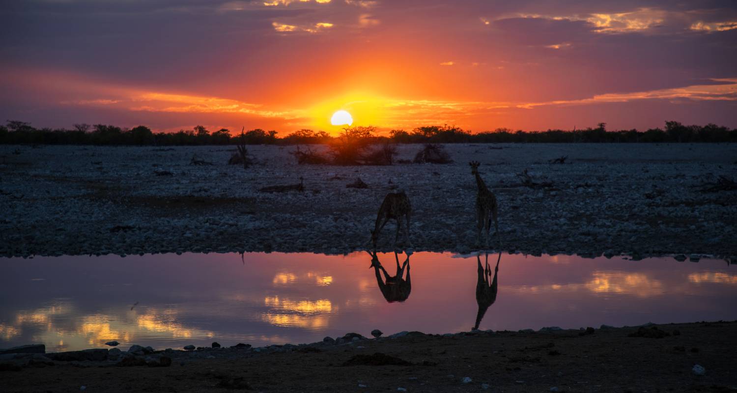 4-Day Etosha National Park (Lodging) - Discovery Transfers and Tours
