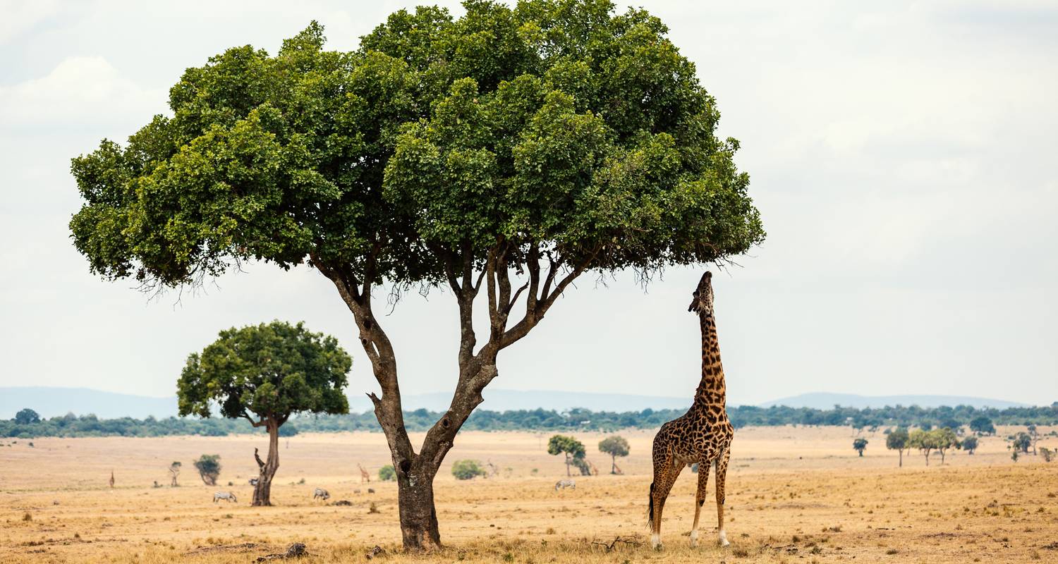 East Africa Trails Group Safari - Global Basecamps