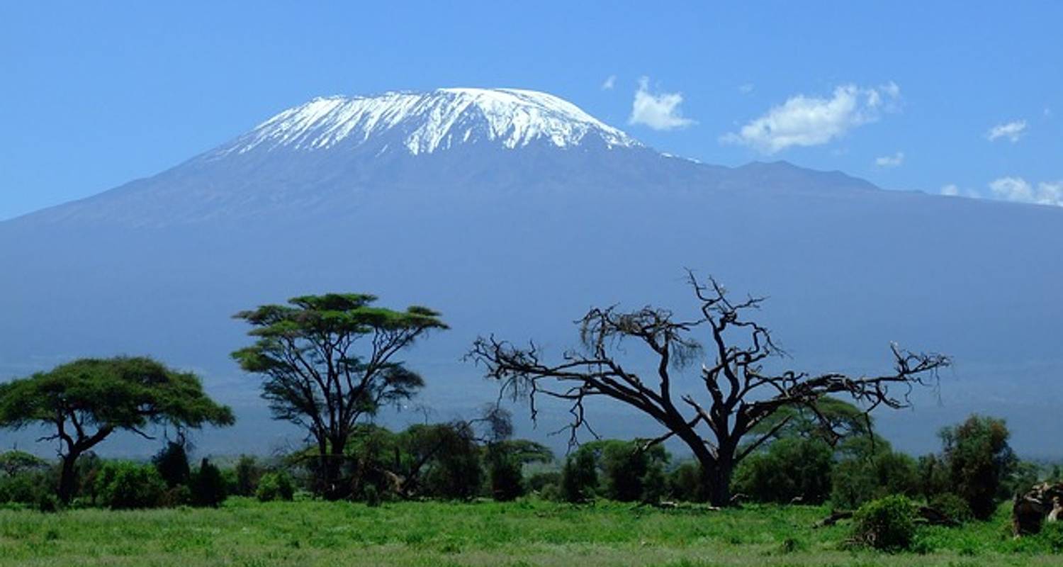 Taste Of Tanzania - Contiki