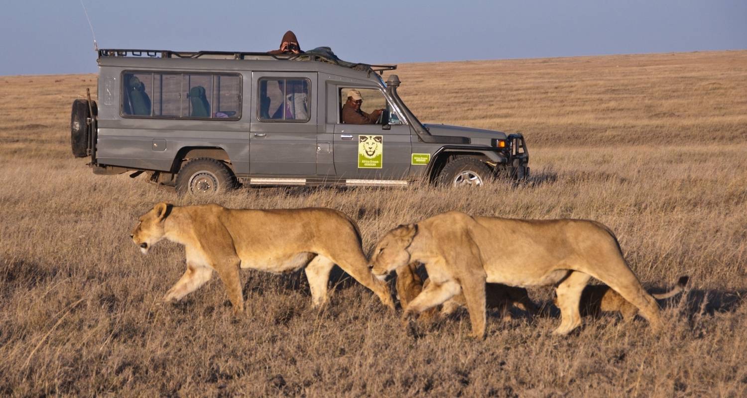 7-Daagse rondreis Zuid-Afrika