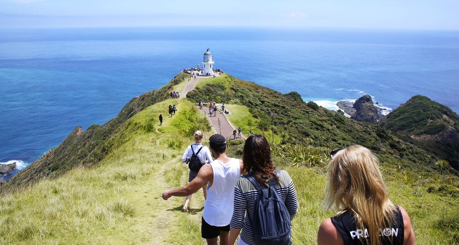 Winterless North - New Zealand Tour for 18-35s! - Sweet As Travel
