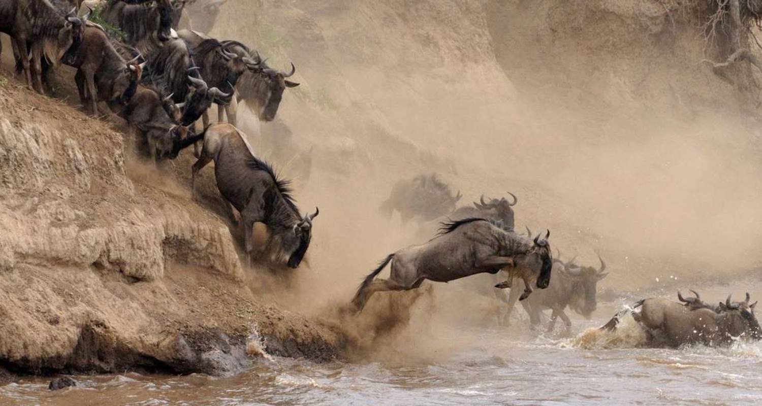 11 DAYS BEST OF KENYA TANZANIA SAFARI - Dallago Tours Kenya-Tanzania