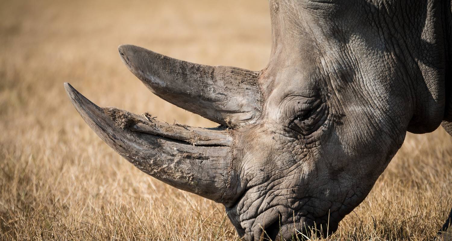 African Safari Namibia (Accommodation/Transport & Activities Included) - Junita's Extreme Adventures Namibia cc