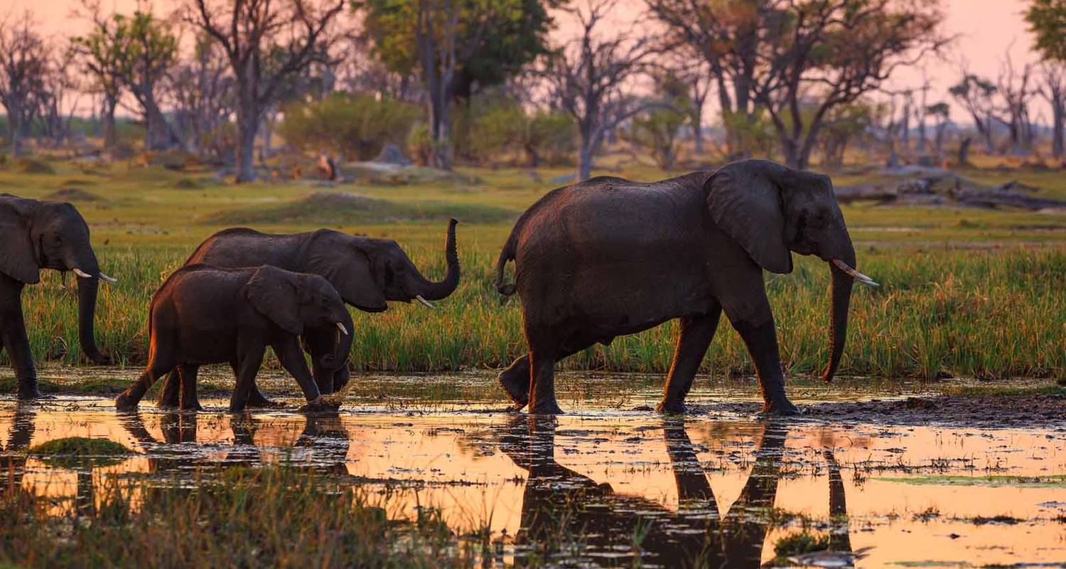 14 Days Okavango Delta, Victoria Falls & Zimbabwe Serviced Camping / PLUS - Africa4Us