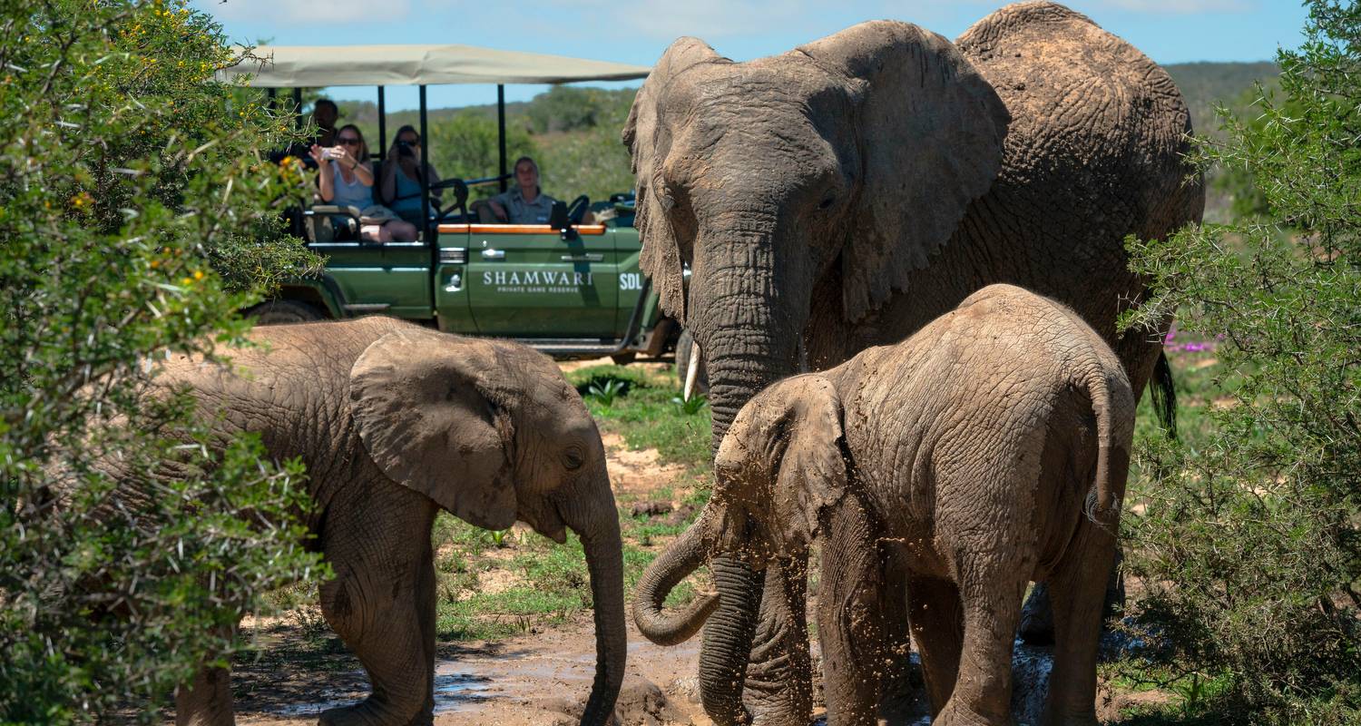 Majestic South Africa - African Travel