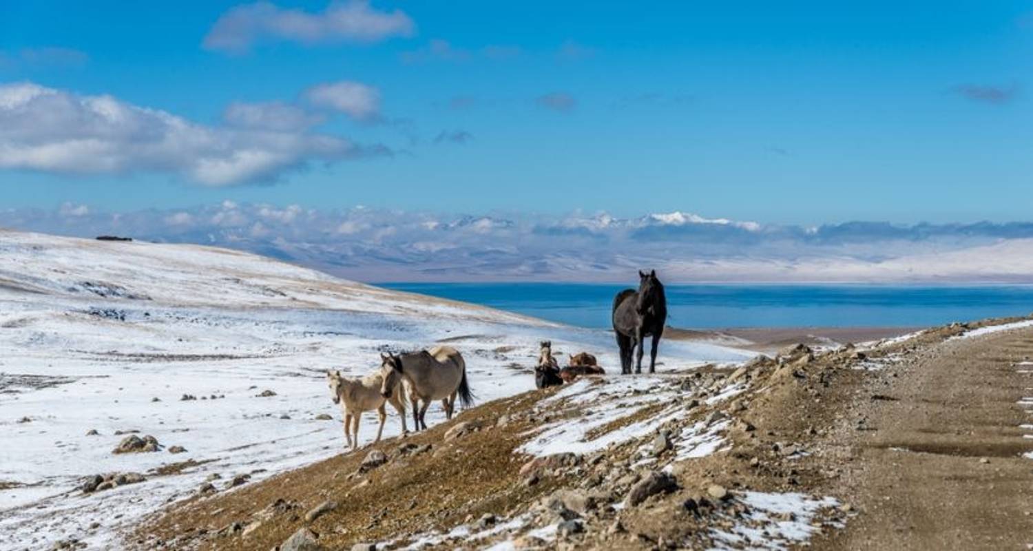 Caucasus & the Silk Road (Xi'an to Tbilisi) - Dragoman Overland