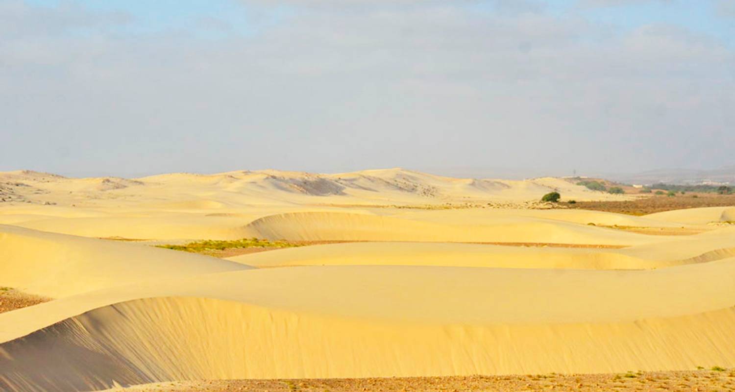 Best Of Boa Vista: 4 Days + Private Tours and Airport Transfers - BuCountry Tours