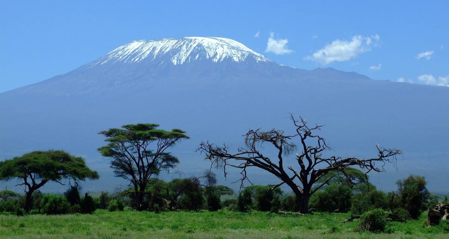 La mejor circuito de un día en la base del Kilimanjaro - Kilimanjaro Wonders Expedition Safari