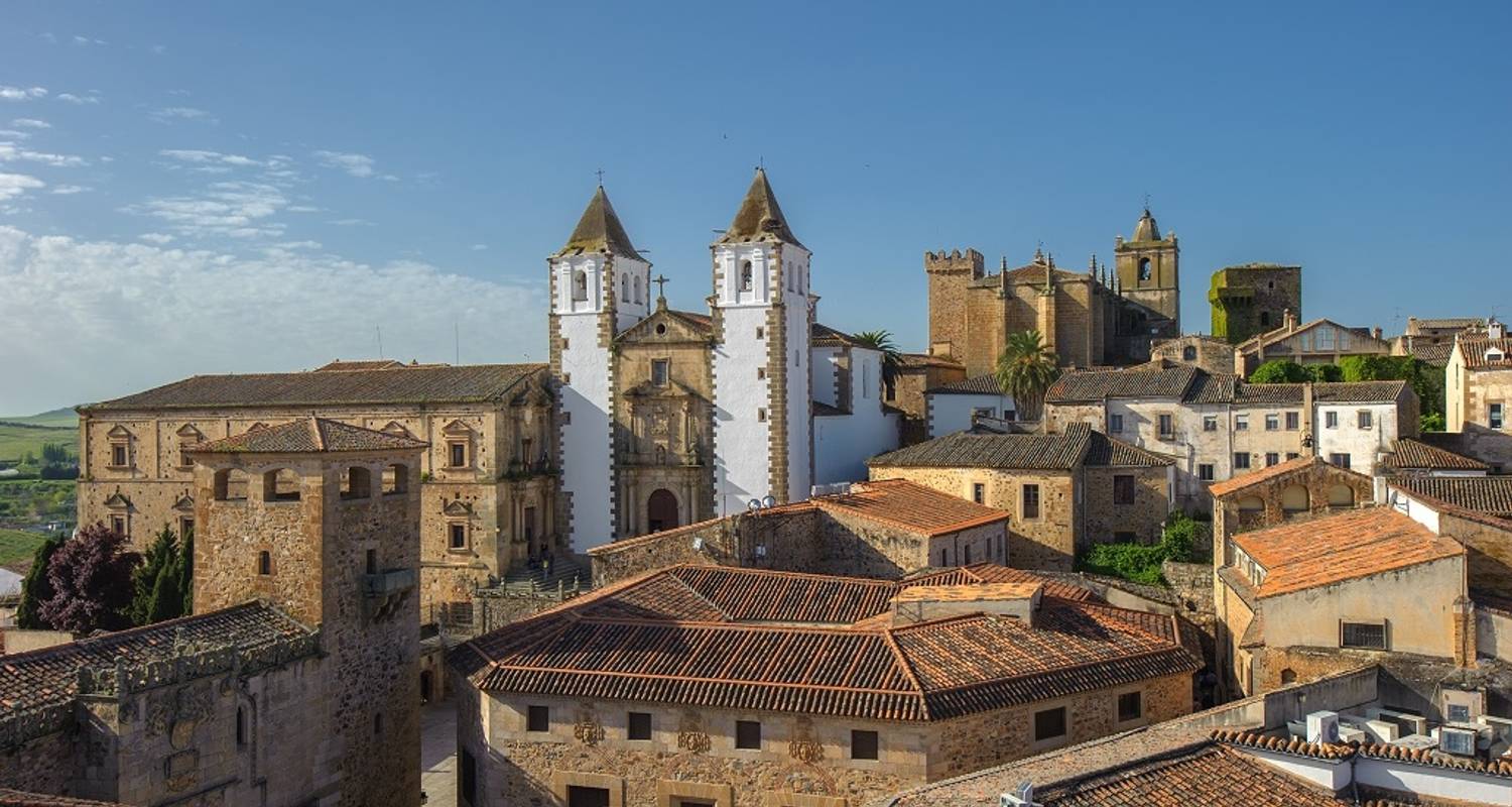 Andalusia with Cordoba, Costa del Sol & Toledo - Destination Services Spain