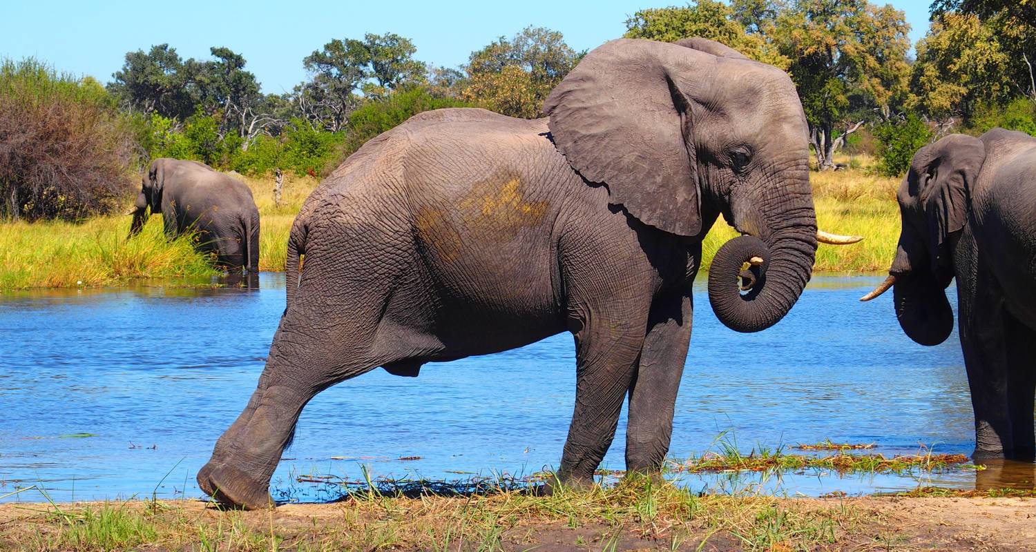 Zambia victoria falls & Botswana chobe safari Tour - African joined tours and safaris