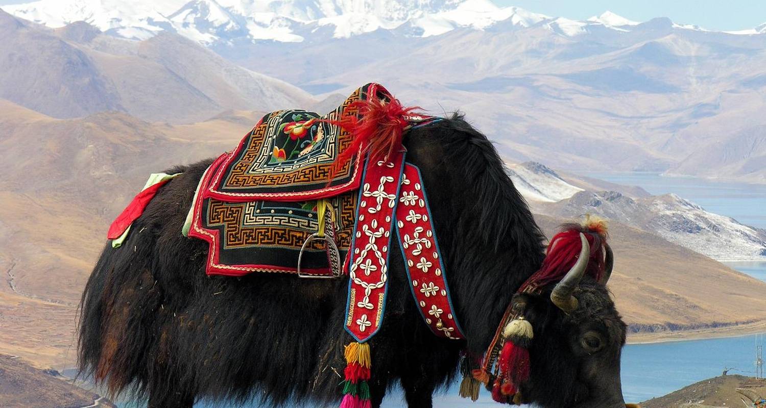 Tibet & Nepal: 13 Day Classic Overland Through the Himalaya, with Mt. Everest Base Camp (Fly In/Fly Out) - GECtravel