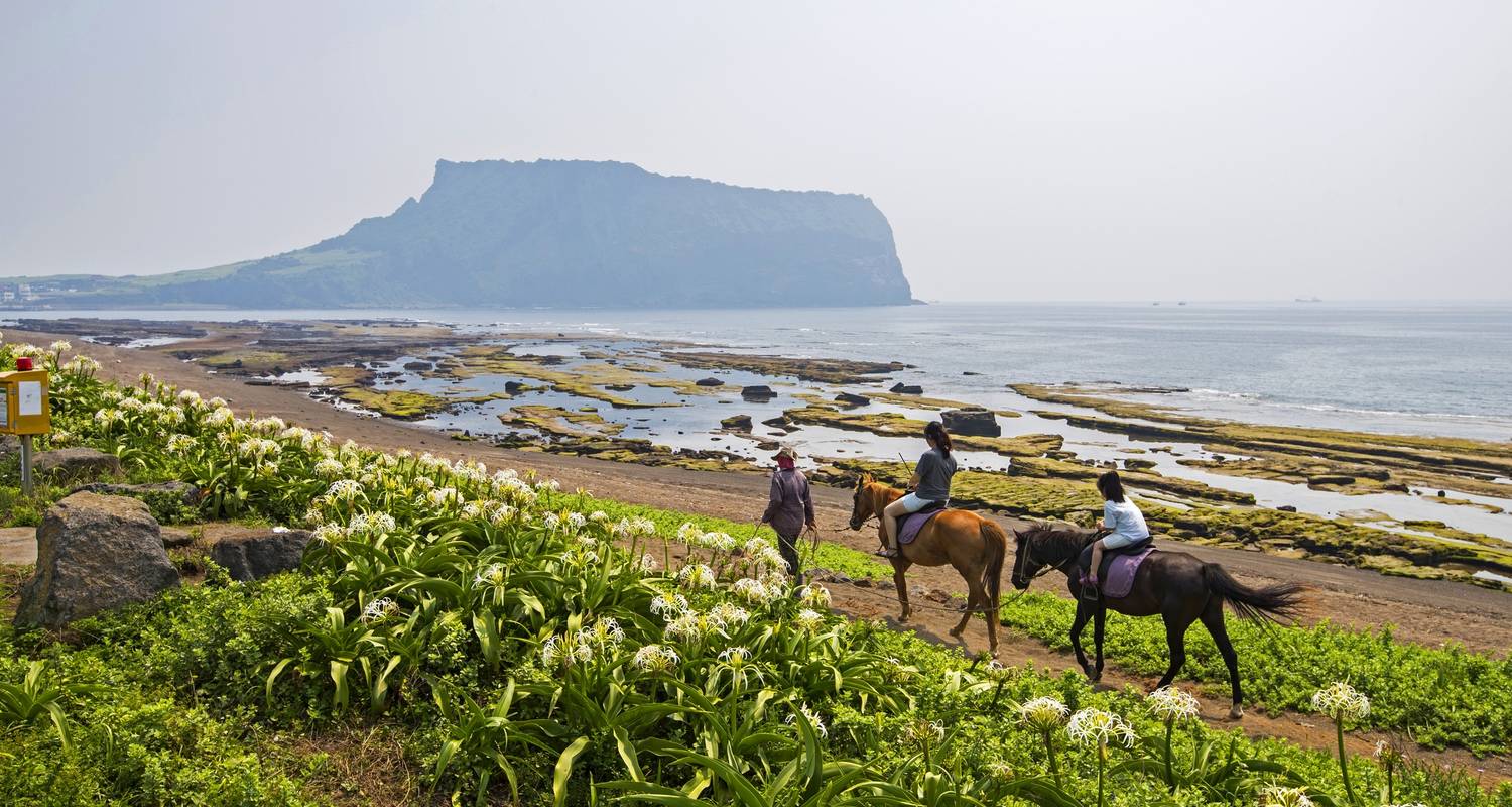 Discover Jeju Island - 3 Days (Airport Service Included) - Hanatour USA, Inc.