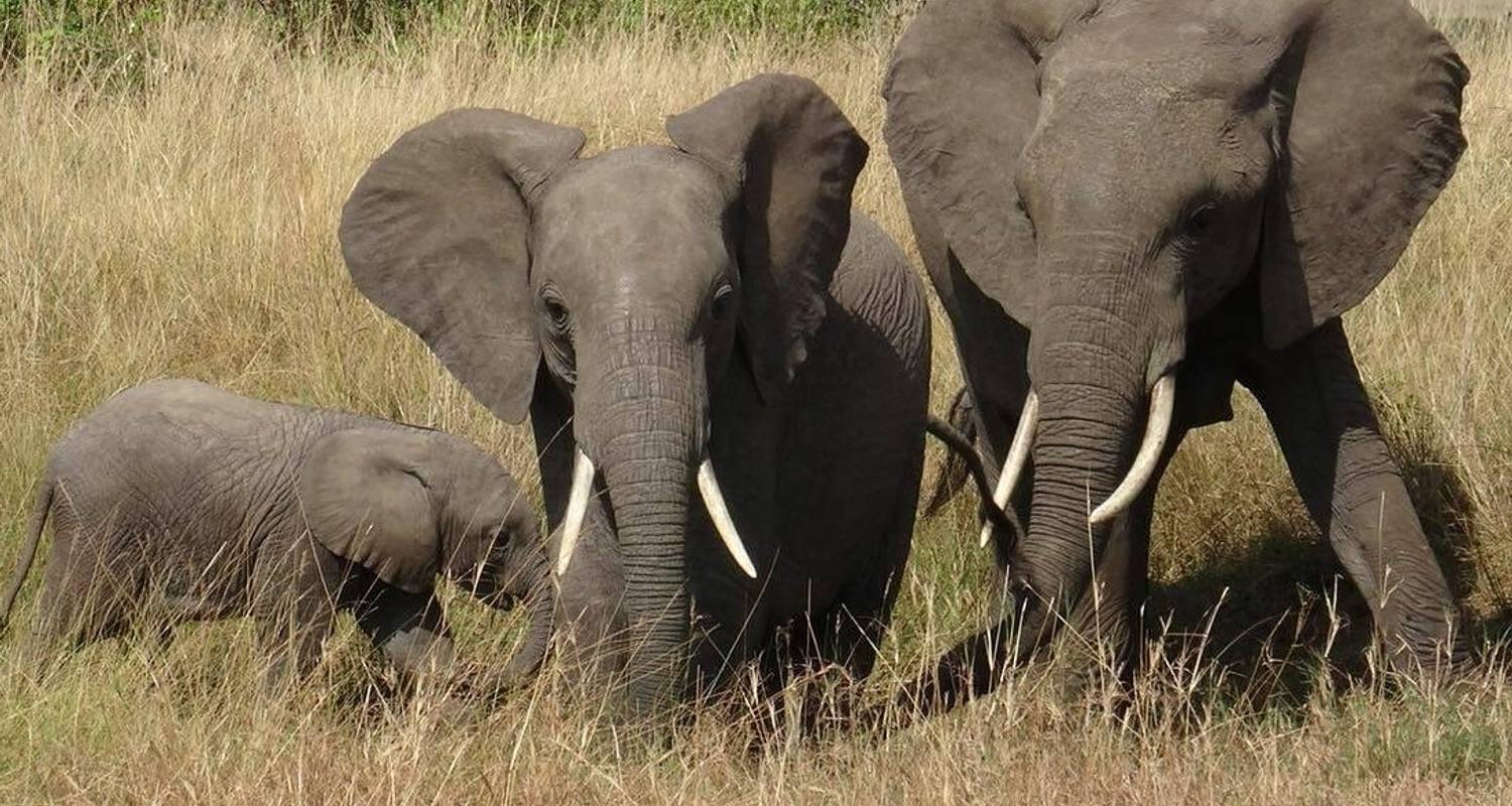 3 Days Maasai Mara Air Package - Kenan Travel and Tours