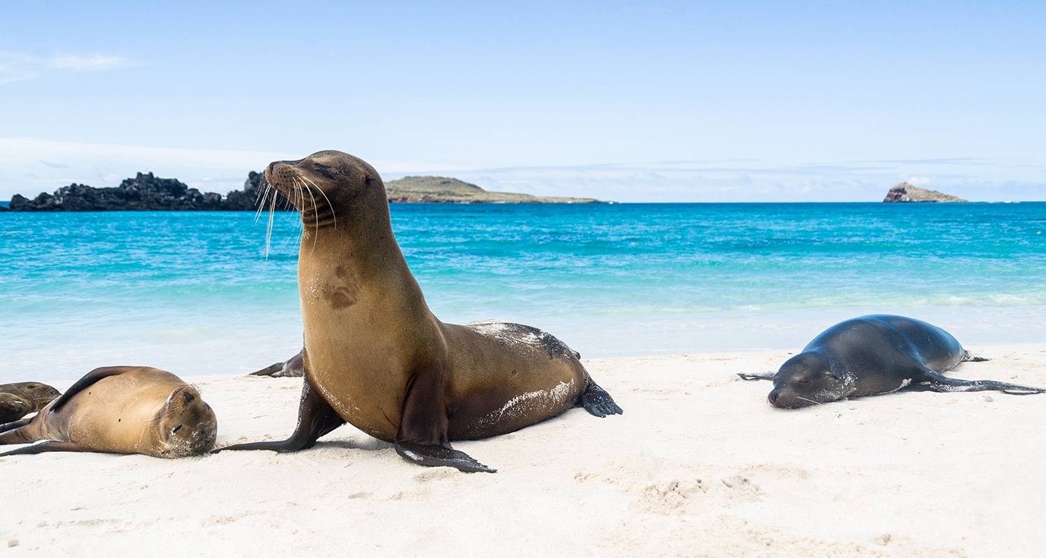 Wonders of Peru with Galápagos and Amazon Cruise - Evergreen Tours
