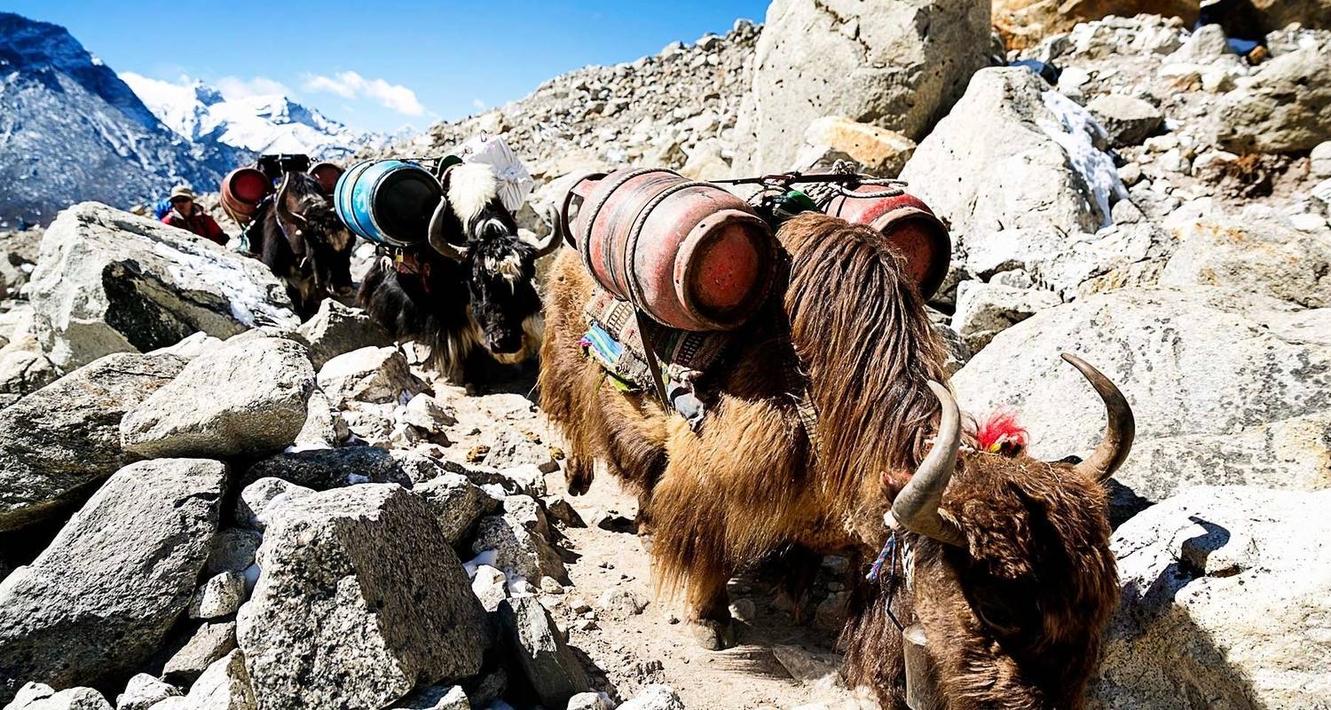 Everest Base Camp Trek- The most Loved trek trail - Luxury Holidays Nepal Pvt. Ltd
