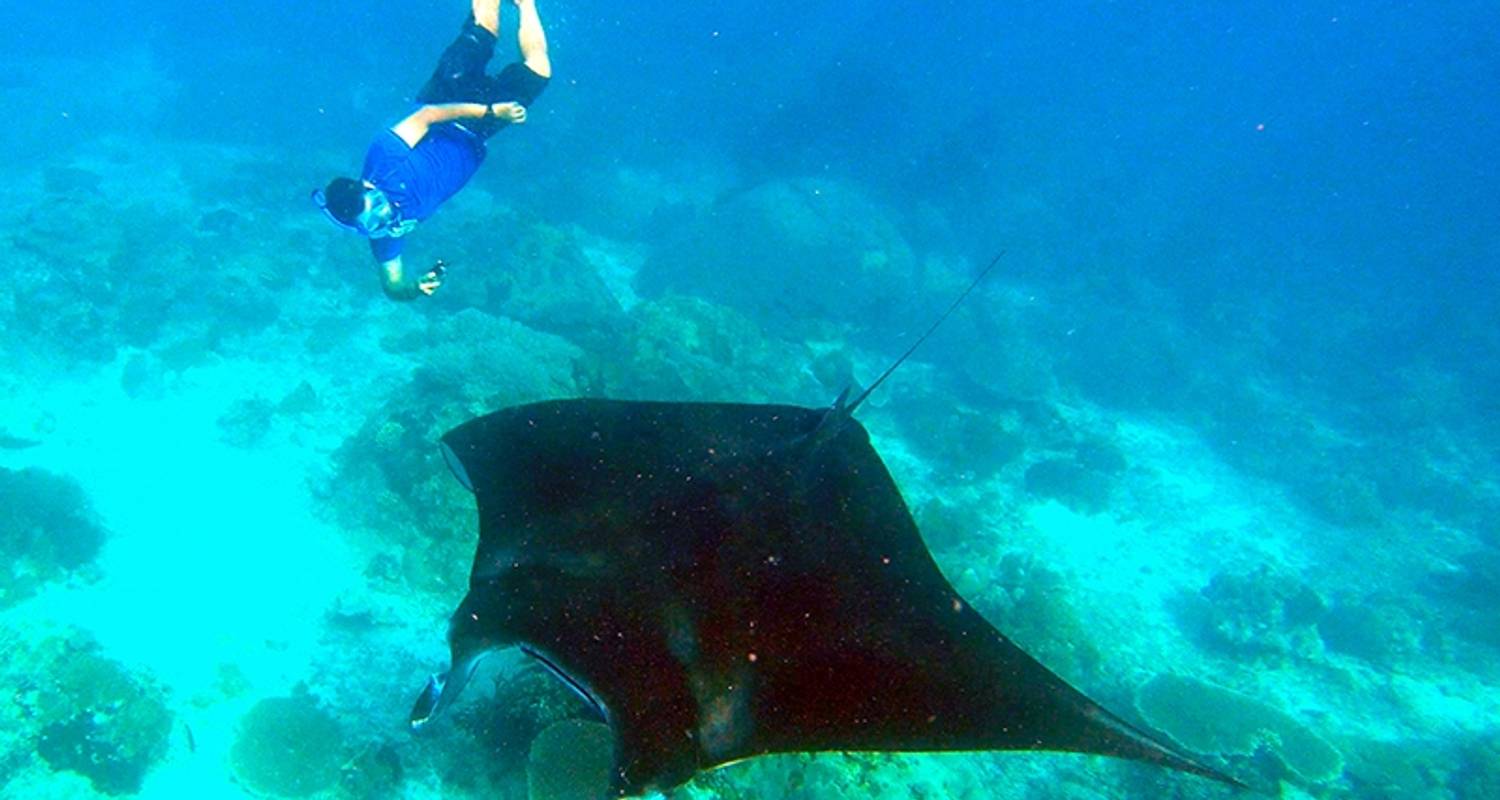 Explore Derawan 4 Day - Open Trip Indonesia
