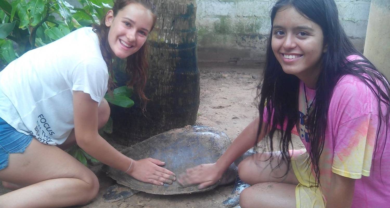Sri Lanka Turtle Conservation - 7 Days - Idex – Volunteer & Travel