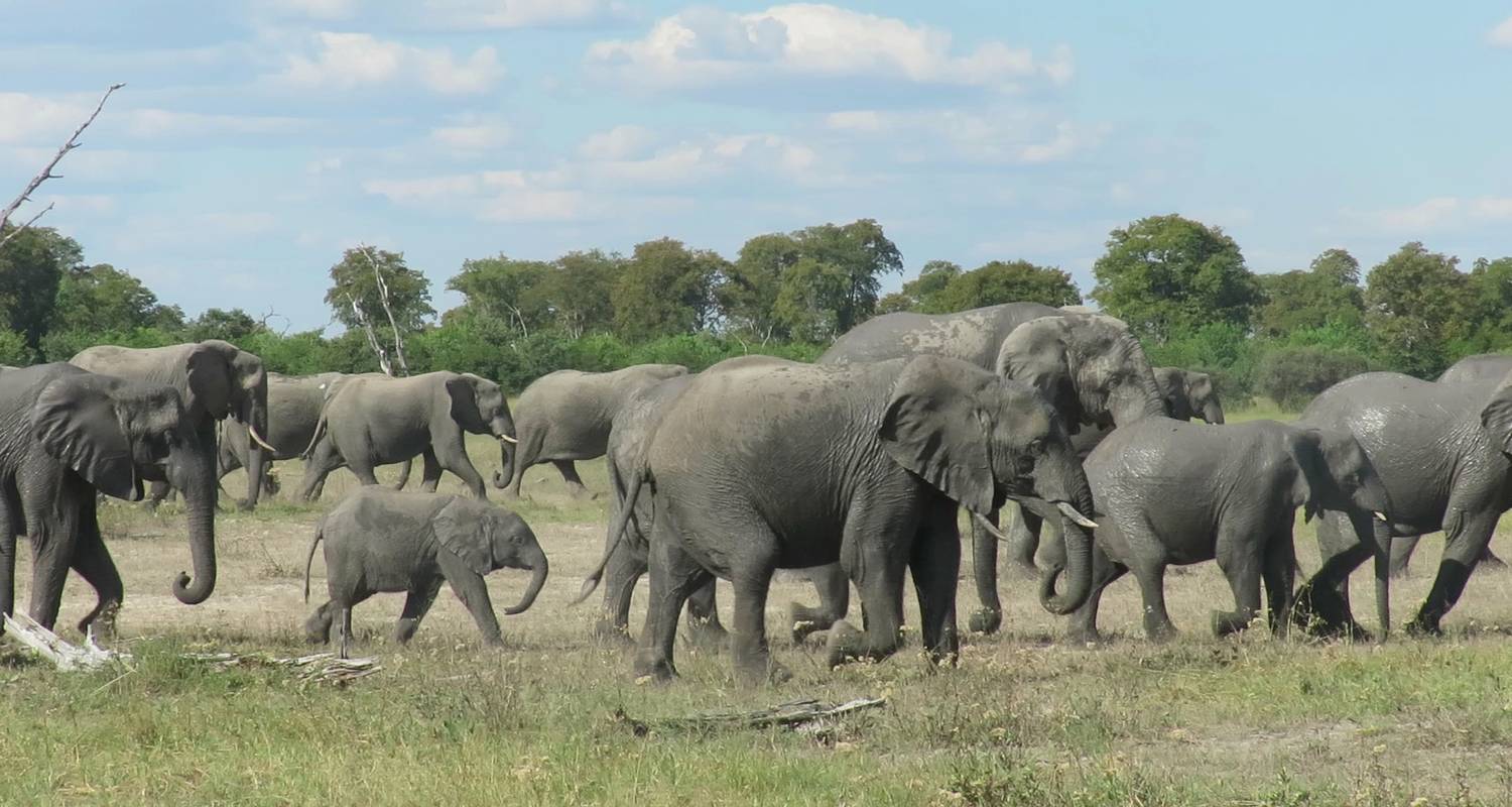 6 Days Mokoro Safari Experience - Outdoor African Tour Safari