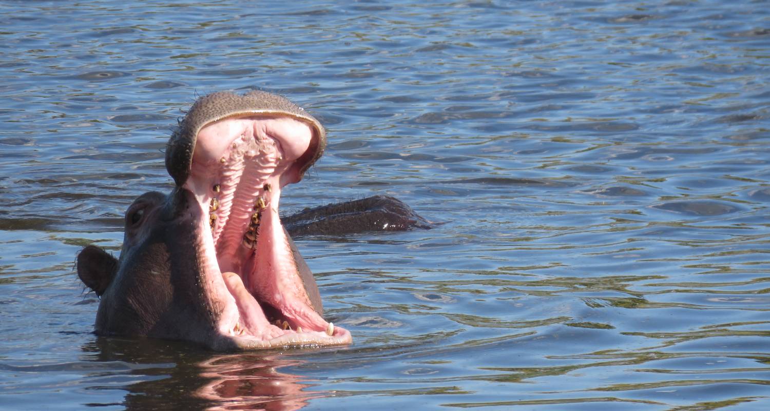 7 Days Big Five Safari Experience - Outdoor African Tour Safari