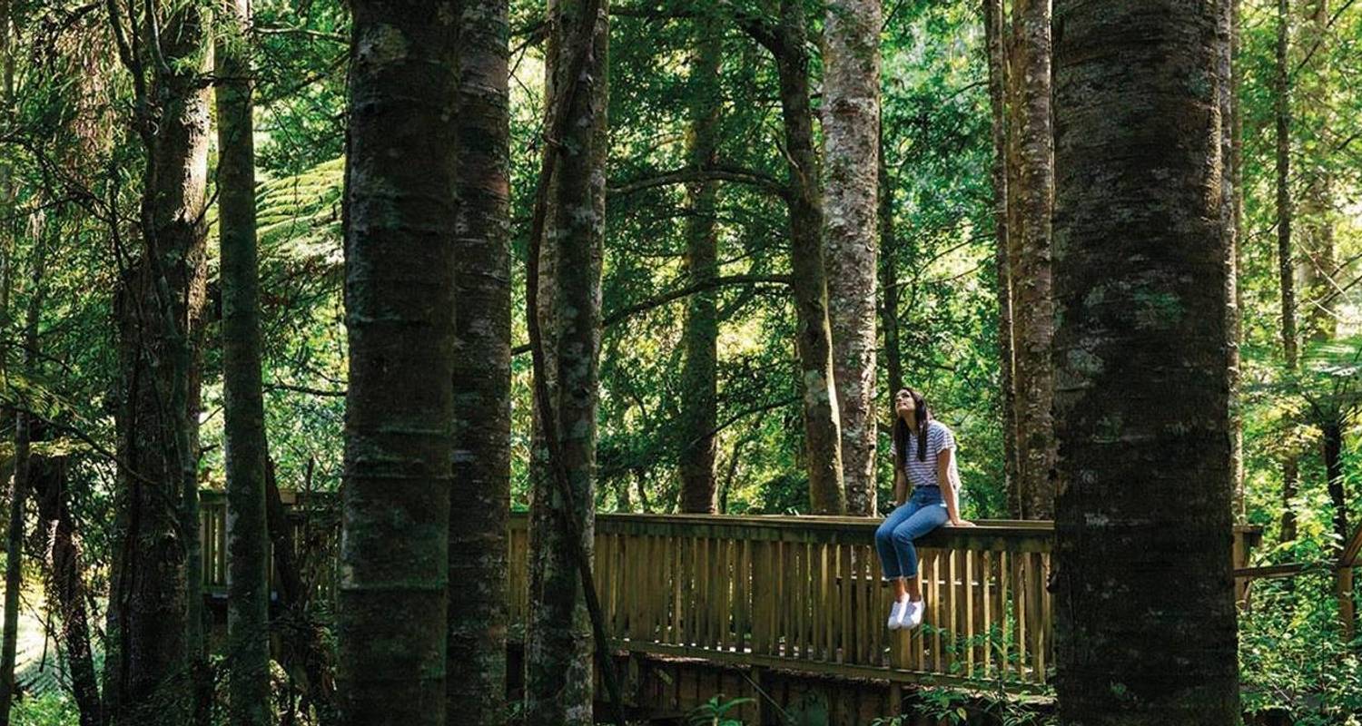 Northern Choice (Summer, Start Wellington, End Auckland, 10 Days) - Contiki