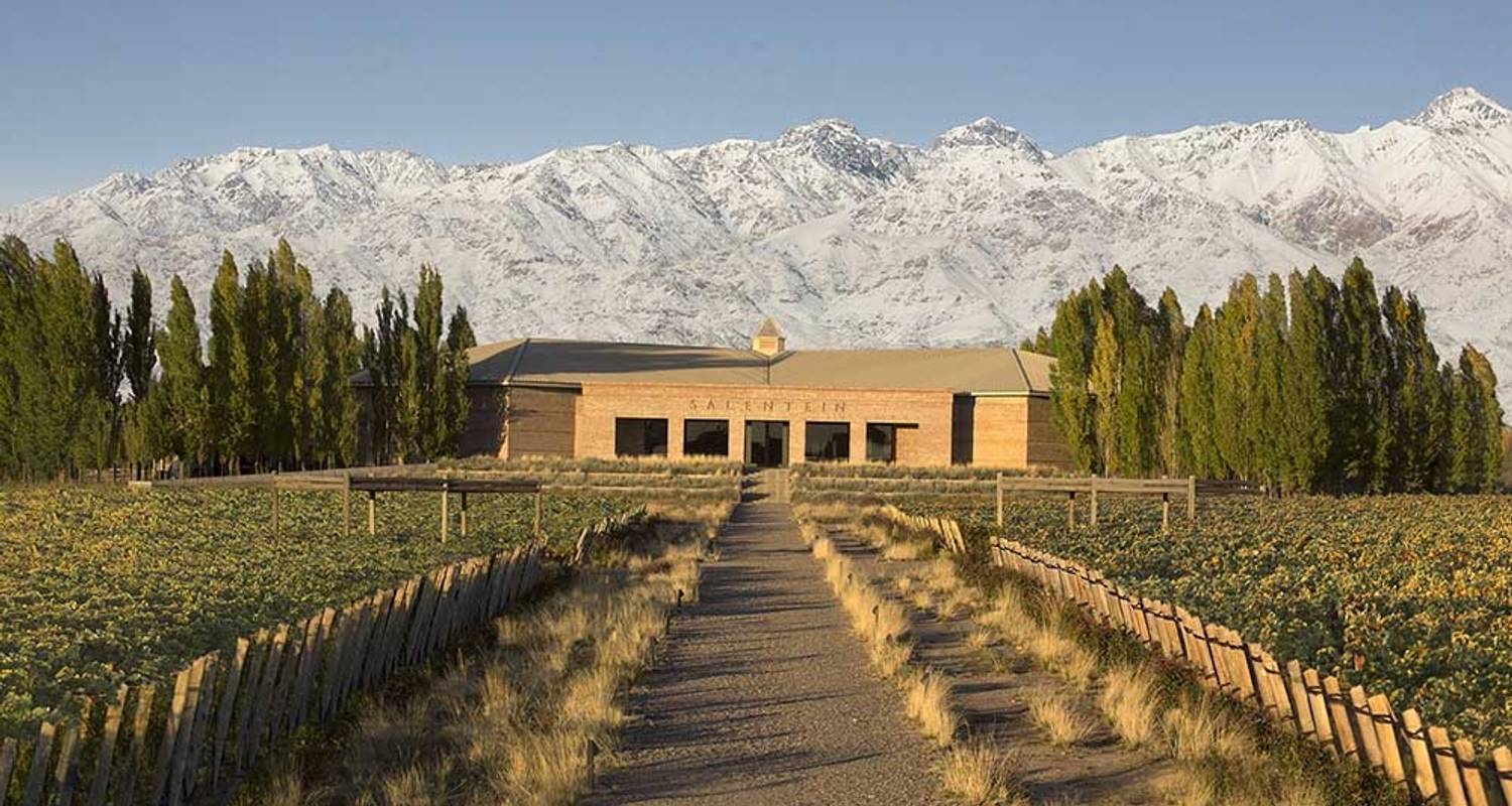 Mendoza Premium Wine Route - Pisadas Argentina