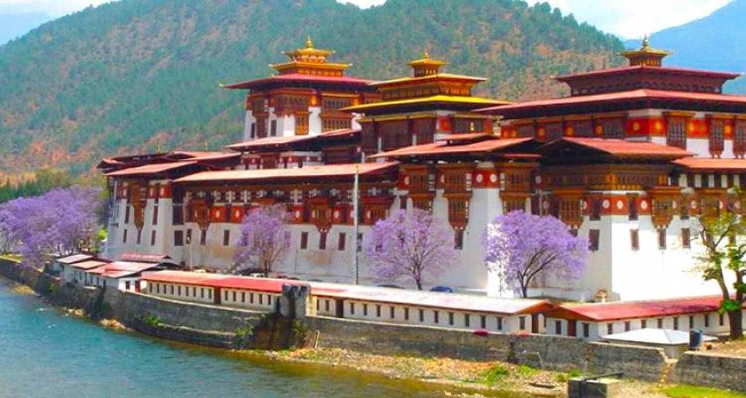 Bhutan Tour - 5 Days - Himalayan Aster Treks and Tours
