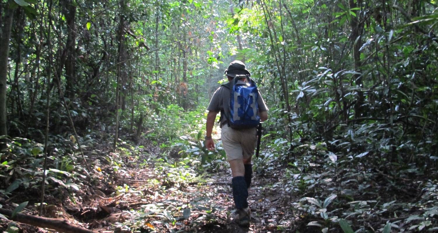 Ulu Muda: A Date With Nature - Asian Overland Services Tours & Travel