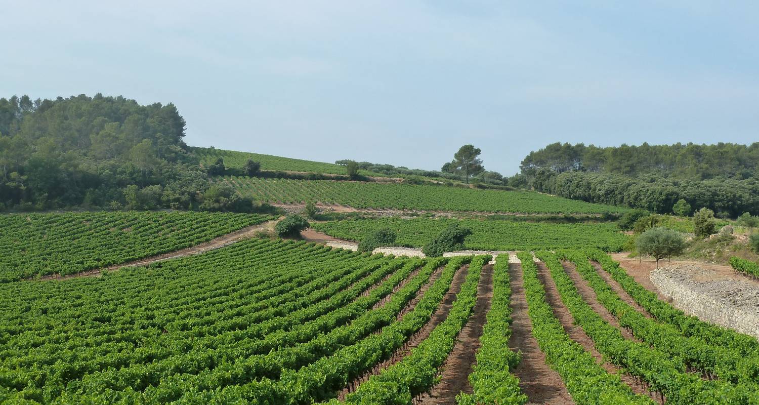 Mittelalterliche Dörfer der Provence (Individuelle Radtour) - Exodus Travels