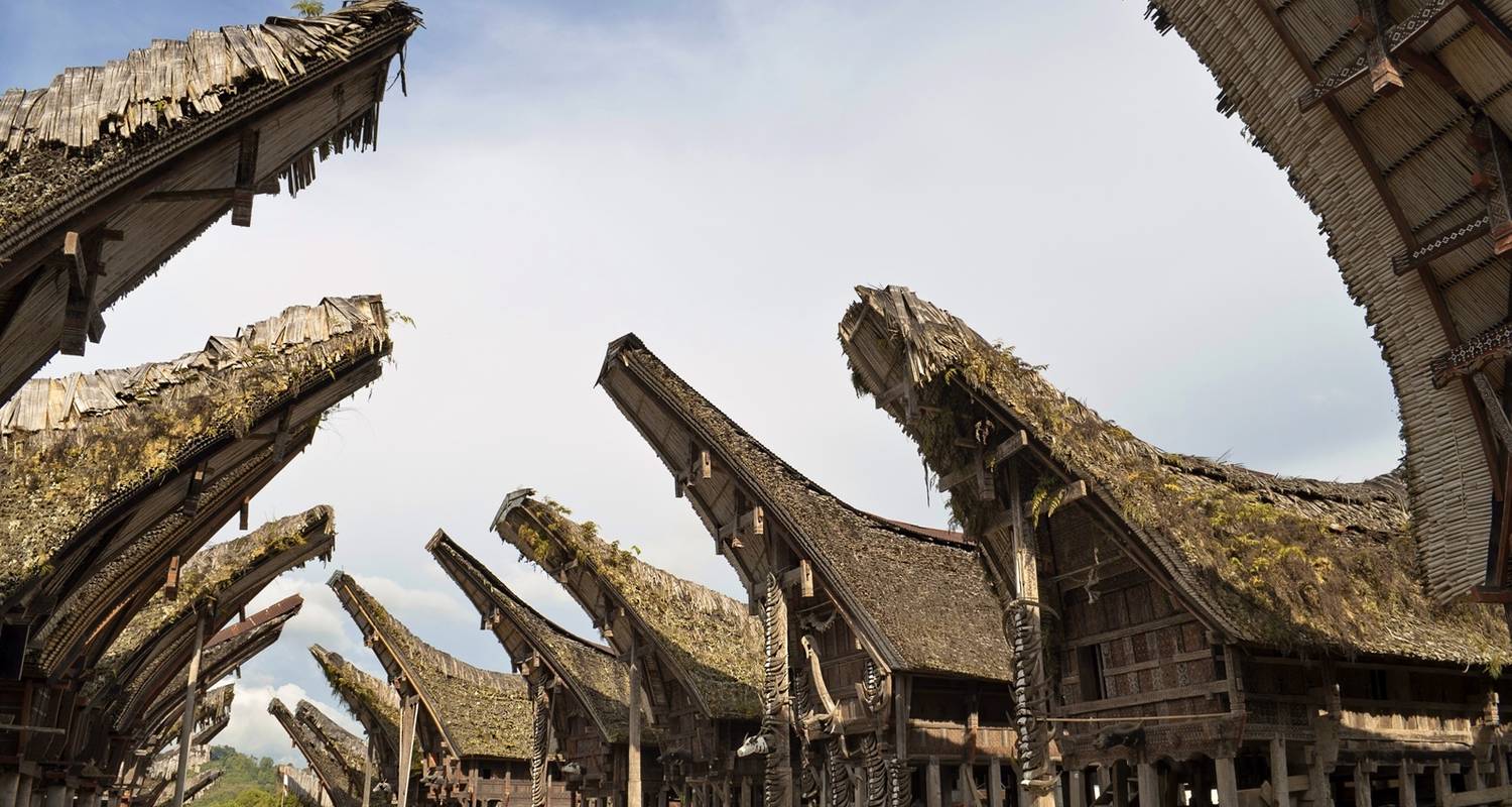Trekking Toraja Highland - Indotrek